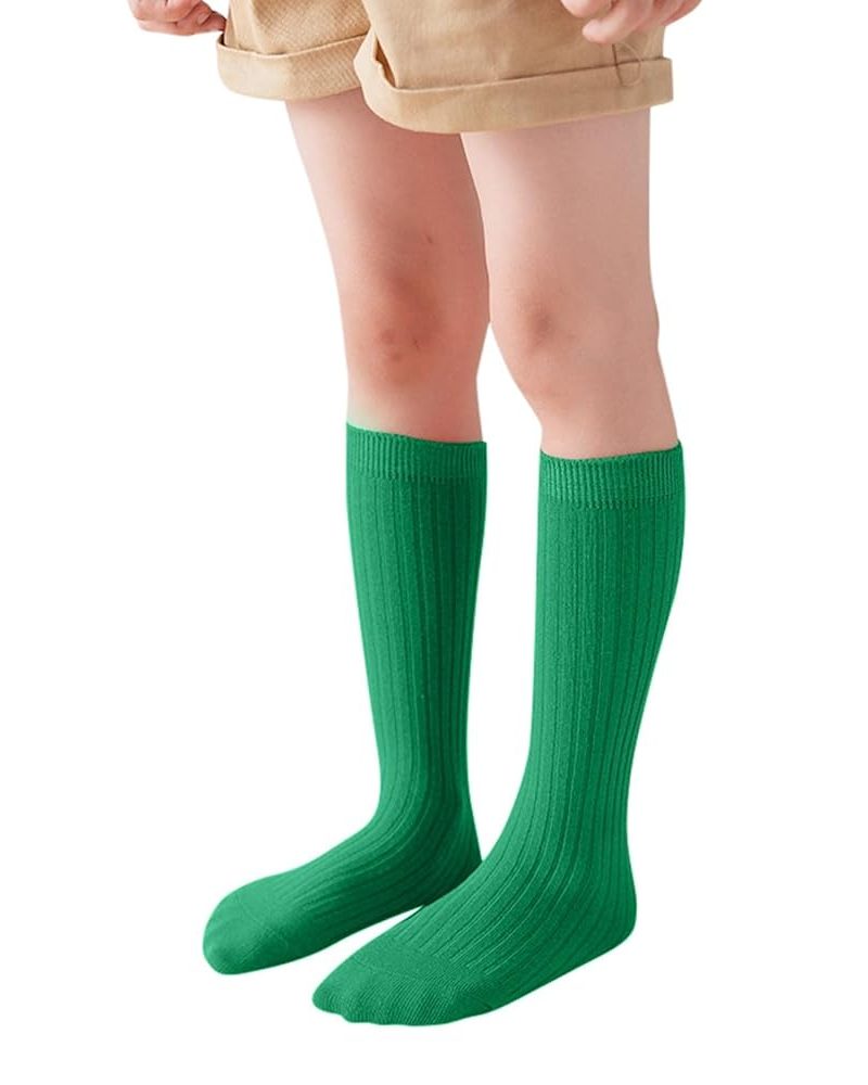 61qgg4O0GOL._UY1000_